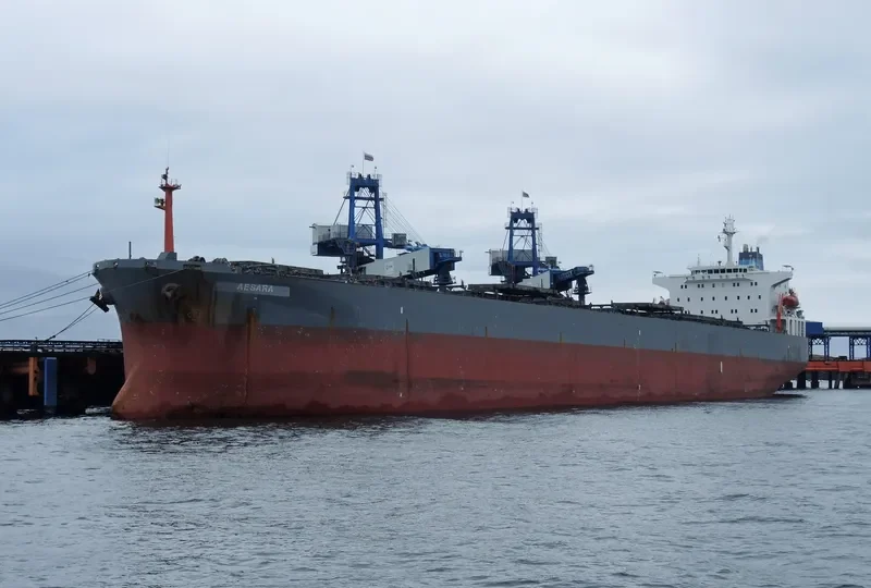 XIE HAI YONG XIN Bulk Carrier IMO 9224702