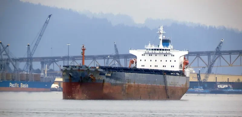 XIE HAI YONG XIN Bulk Carrier IMO 9224702 photo 4