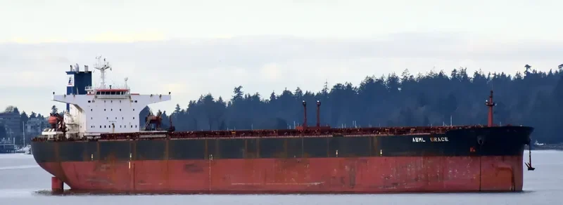 ABML GRACE Bulk Carrier IMO 9224738