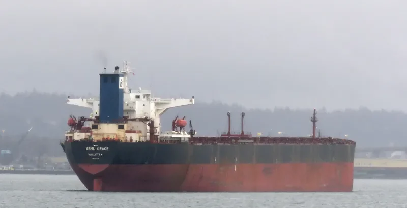 ABML GRACE Bulk Carrier IMO 9224738 photo 3