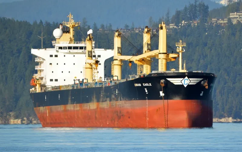 ZHE NENG 1 Bulk Carrier IMO 9224788 photo 3