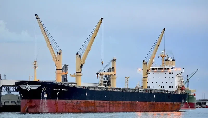ZHE NENG 1 Bulk Carrier IMO 9224788 photo 7