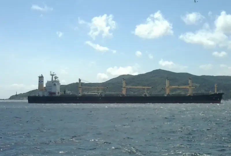 ZHE NENG 1 Bulk Carrier IMO 9224788 photo 10