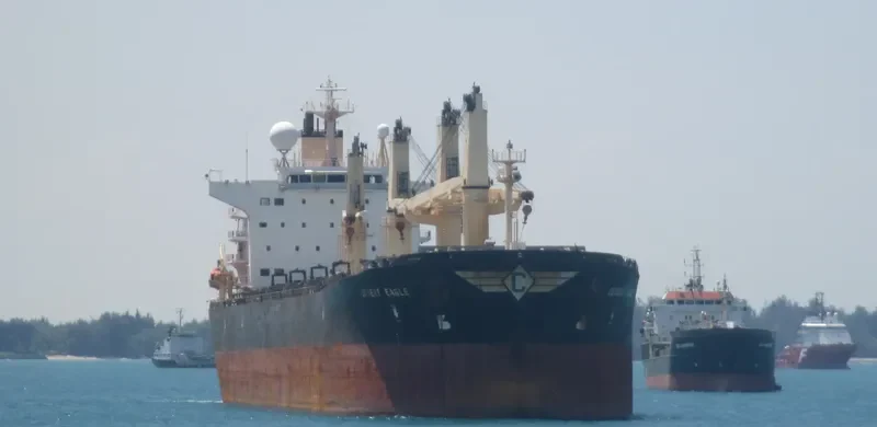 DESERT EAGLE Bulk Carrier IMO 9224790