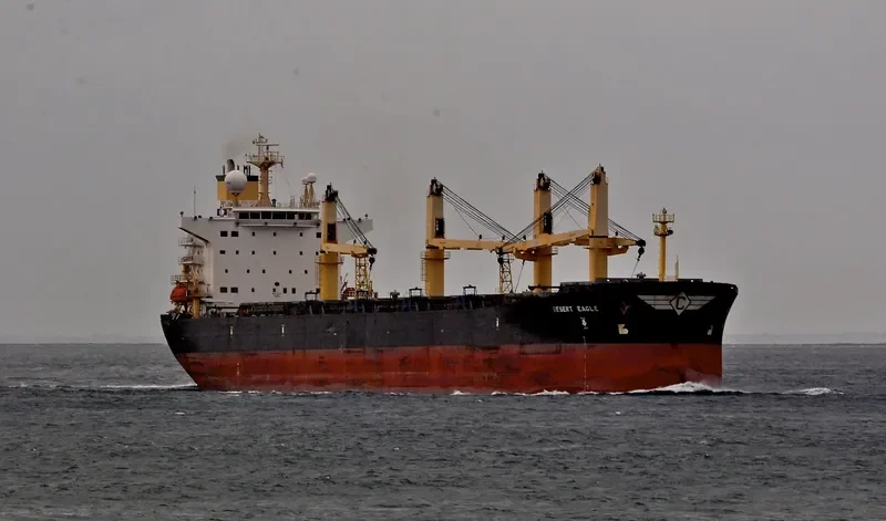 DESERT EAGLE Bulk Carrier IMO 9224790 photo 2