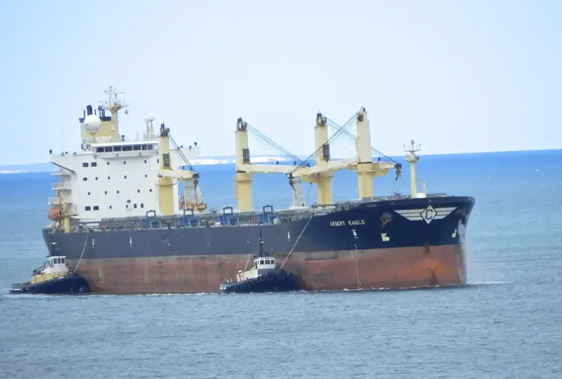 DESERT EAGLE Bulk Carrier IMO 9224790 photo 4