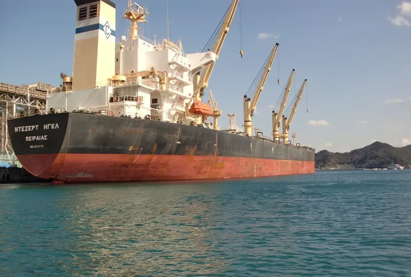 DESERT EAGLE Bulk Carrier IMO 9224790 photo 6