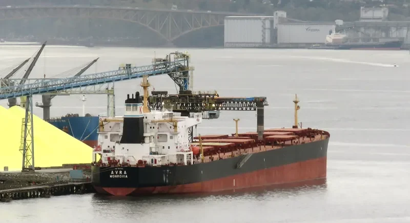 AVRA Bulk Carrier IMO 9224984