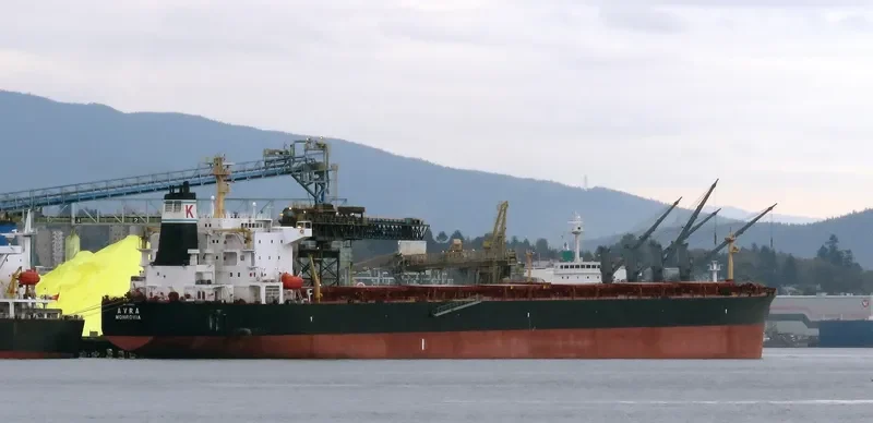 AVRA Bulk Carrier IMO 9224984 photo 2