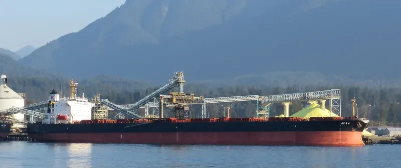 AVRA Bulk Carrier IMO 9224984 photo 3