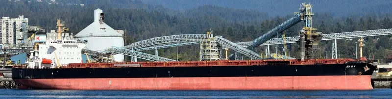 AVRA Bulk Carrier IMO 9224984 photo 5
