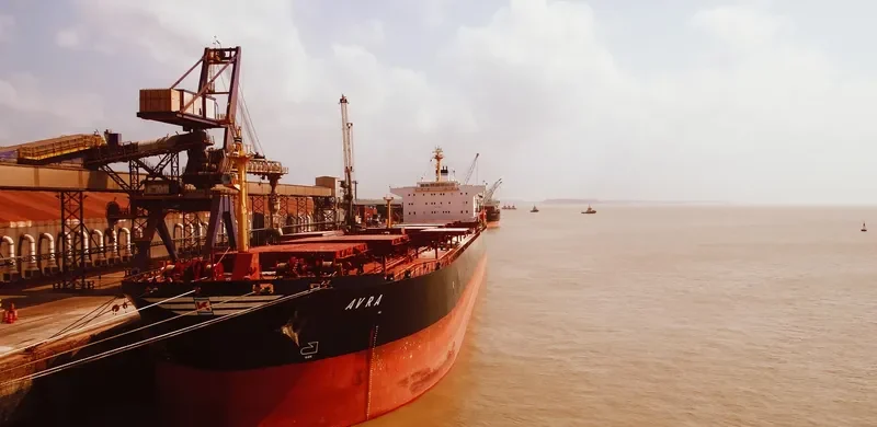 AVRA Bulk Carrier IMO 9224984 photo 6