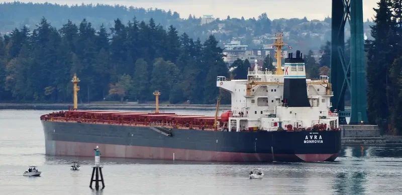AVRA Bulk Carrier IMO 9224984 photo 8