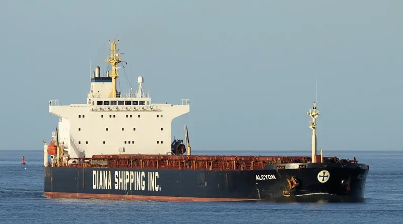 AQUAMAN Bulk Carrier IMO 9225029 photo 5
