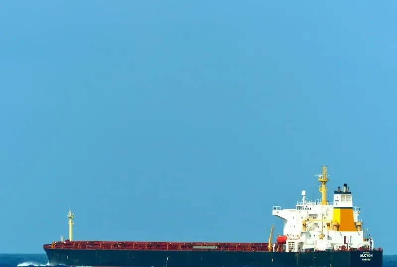 AQUAMAN Bulk Carrier IMO 9225029 photo 7