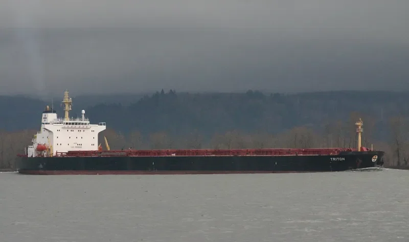 SCARLET LADY Bulk Carrier IMO 9225043 photo 10