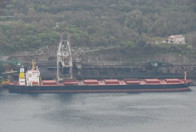 SCARLET LADY Bulk Carrier IMO 9225043 photo 18