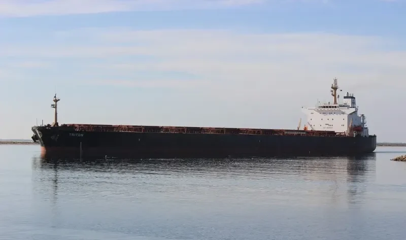 SCARLET LADY Bulk Carrier IMO 9225043 photo 33