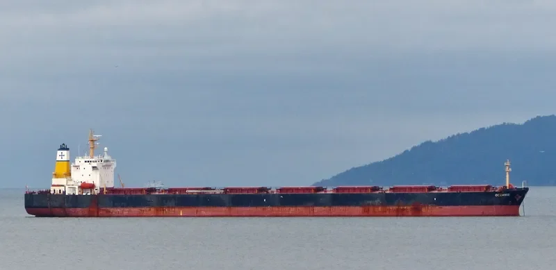 AC SHANGHAI Bulk Carrier IMO 9225055 photo 9