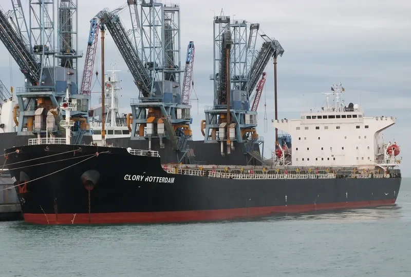 DONG FANG XIANG TONG Bulk Carrier IMO 9225196 photo 6