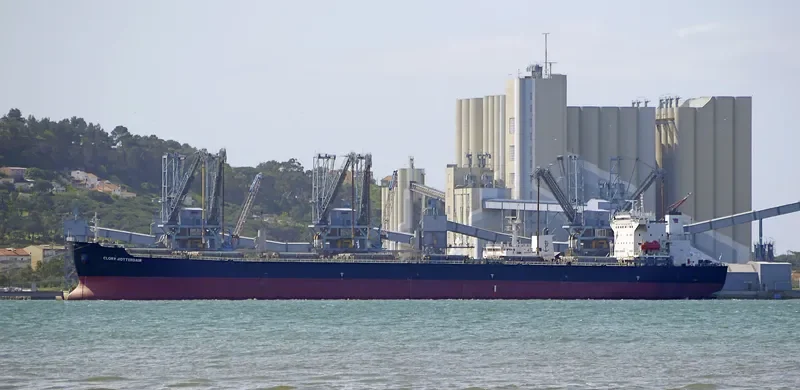 DONG FANG XIANG TONG Bulk Carrier IMO 9225196 photo 10