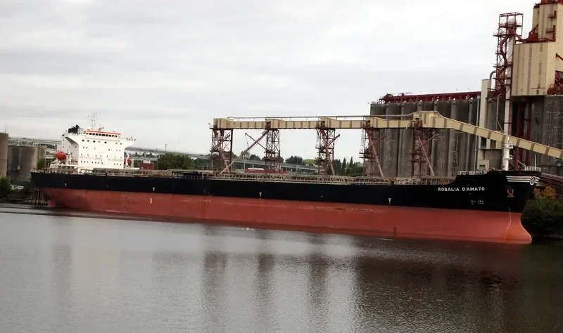 HE FAN Bulk Carrier IMO 9225201 photo 6