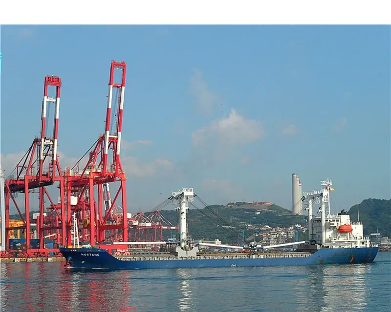 RICH BRIGHT General Cargo IMO 9225500 photo 7