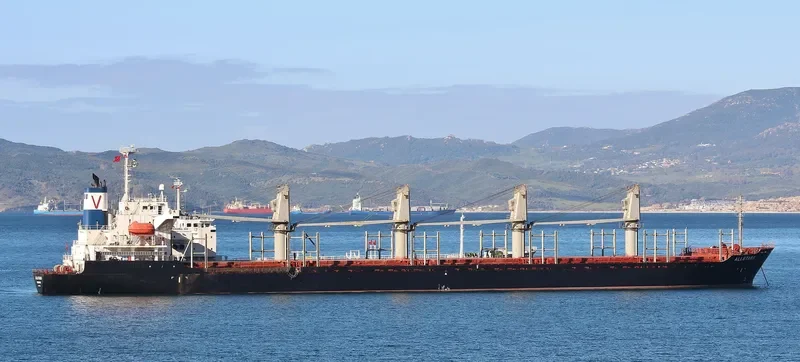 UNIVERSE HONESTY Bulk Carrier IMO 9225512 photo 4