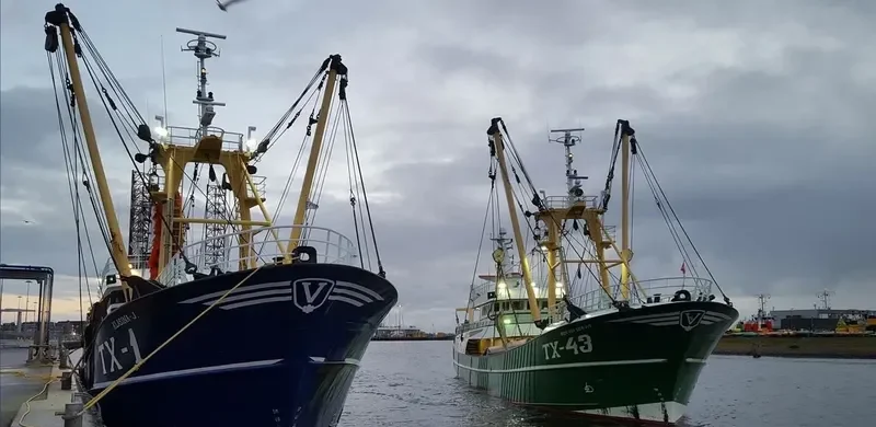 TX43 BIEM V D VIS General Cargo IMO 9225627