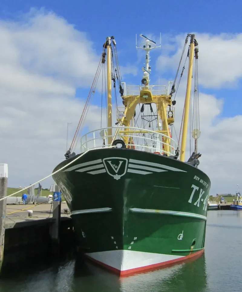 TX43 BIEM V D VIS General Cargo IMO 9225627 photo 4