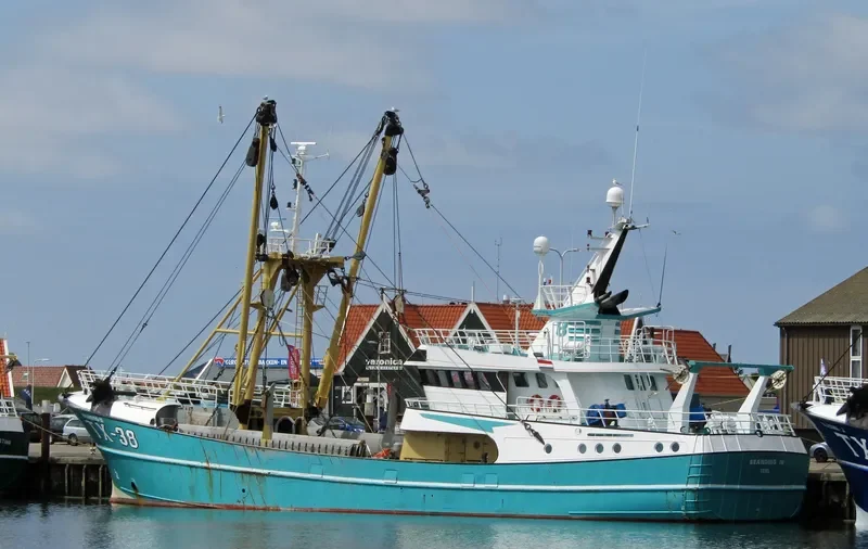 TX 38 General Cargo IMO 9225639