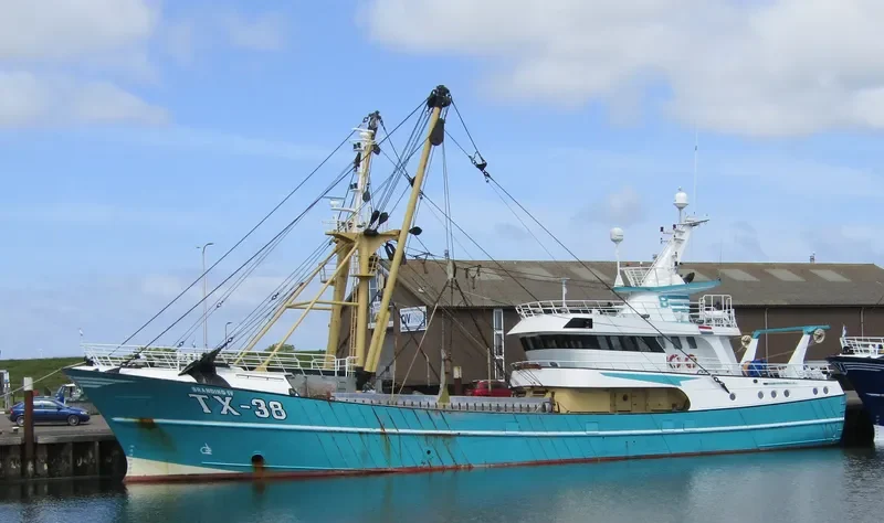 TX 38 General Cargo IMO 9225639 photo 3