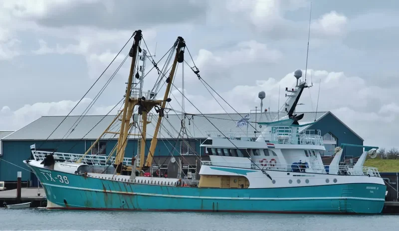 TX 38 General Cargo IMO 9225639 photo 6