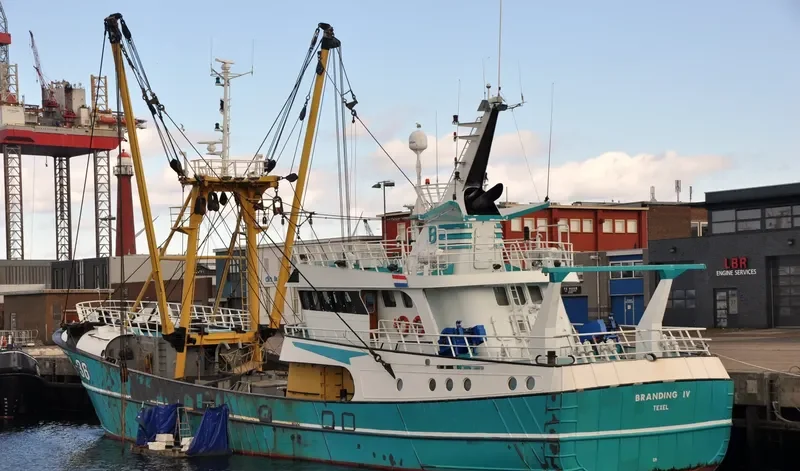 TX 38 General Cargo IMO 9225639 photo 8