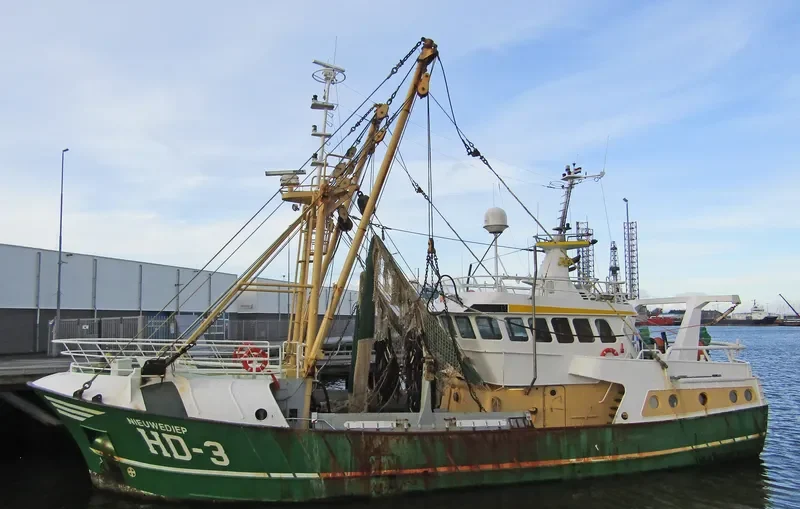 NIEUWE DIEP General Cargo IMO 9225706