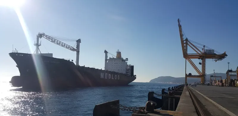 MED SAMSUN Container Ship IMO 9225794 photo 3