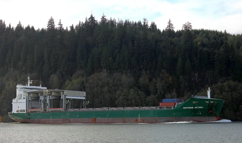 WESTWOOD VICTORIA Container Ship IMO 9226059 photo 6