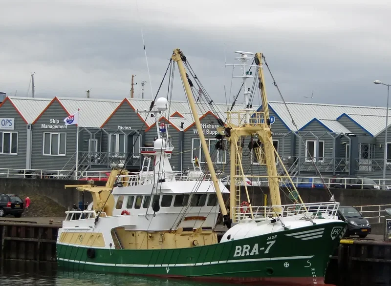 BRA7 JADE General Cargo IMO 9226243