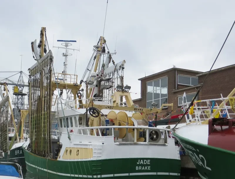 BRA7 JADE General Cargo IMO 9226243 photo 8