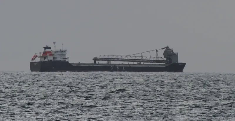 DONNACONA Bulk Carrier IMO 9226396 photo 2
