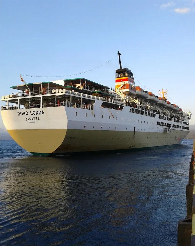 DORO LONDA Passenger Ship IMO 9226487 photo 4