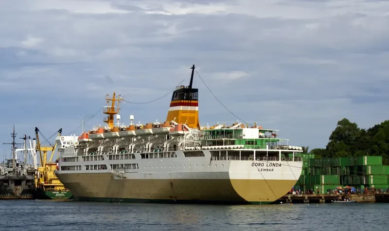 DORO LONDA Passenger Ship IMO 9226487 photo 6