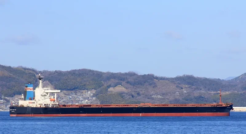 SUNNY CONAKRY Bulk Carrier IMO 9226633