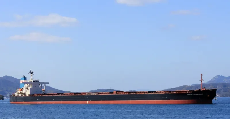 SUNNY CONAKRY Bulk Carrier IMO 9226633 photo 3