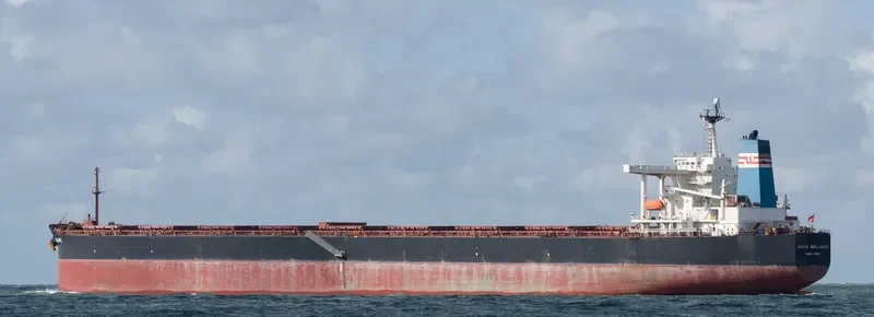 SUNNY CONAKRY Bulk Carrier IMO 9226633 photo 7