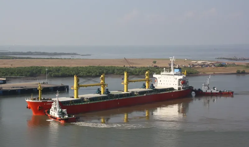 OBS VENUS Bulk Carrier IMO 9226750 photo 2