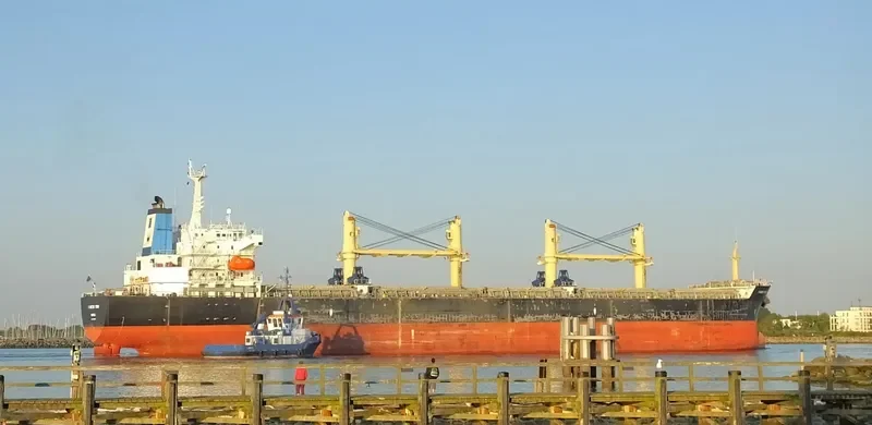 OBS VENUS Bulk Carrier IMO 9226750 photo 5