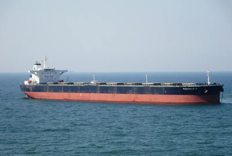 PASCHALIS D Bulk Carrier IMO 9227376 photo 3