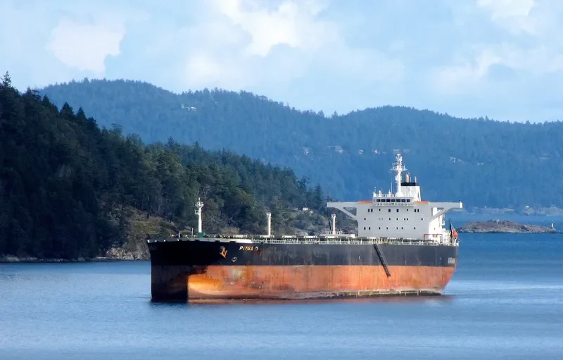 PITSA D Bulk Carrier IMO 9227388 photo 3