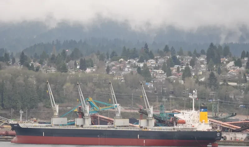 SHUN DING 29 Bulk Carrier IMO 9227467